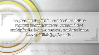 De celui qui jouit dune femme étrangère durant Ramadan  cheikh Mohamed Ali Ferkous [upl. by Christianson448]