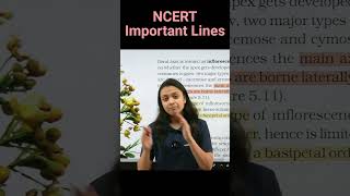 Racemose vs cymose inflorescence  NCERT important lines for NEET  Revision Biology NEET [upl. by Cindie167]