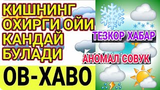 Uzbekistan Ob havo Tashkent Fevral oyi 10 kunlik weather uzbekistan tashkent [upl. by Diskin]