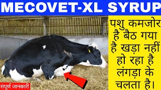 MecovetXL syrup 500ml uses in Hindi mecovet xl sryup veterinary बैठे पशुओं को खड़ा करने वाला टानिक। [upl. by Graubert]