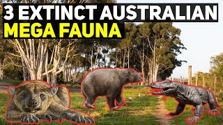 3 Extinct Australian Mega Fauna [upl. by Queen247]