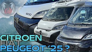 ❓FIAT PEUGEOT CITROEN ❓welcher darf es sein Alle gleich oder doch unterschiedlich Die Chassis 2025 [upl. by Ramalahs]