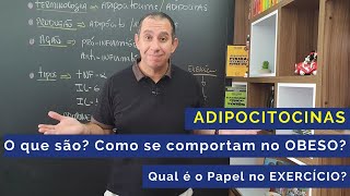 Adipocitocinas O que são Como se comportam no Obeso Qual é o Papel no Exercício [upl. by Atsocal8]