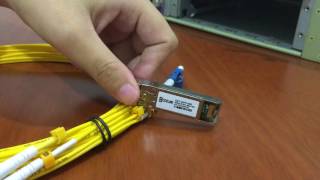 How to install and remove 10G SFP SR Modules [upl. by Darya222]