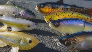 Spring Swimbait Fishing Everything You Need To Know [upl. by Cordelie160]