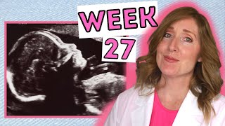 What to Expect at 27 Weeks  Week by Week 27 Weeks Pregnant in Months [upl. by Merriman]