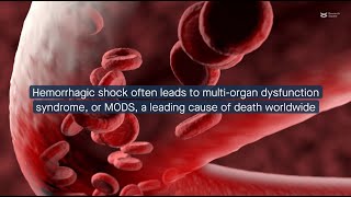 SDC1 knockout A possible therapeutic pathway in hemorrhagic shock [upl. by Mukul]