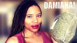 DAMIANA Physical and Spiritual Uses [upl. by Aseneg839]