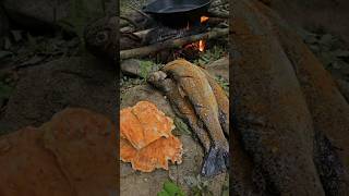 Trout Catch amp Cook and Chicken of the Woods with Doug [upl. by Rozek]