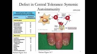 Immunology Lecture 28 Peripheral Tolerance [upl. by Norym]