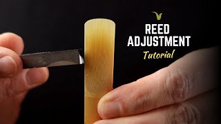 How to Improve Every Saxophone Reed [upl. by Ariuqahs]