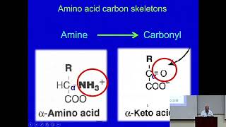 Catabolism of Amino Acids An Overview Metabolism Made Easy [upl. by Tanberg73]