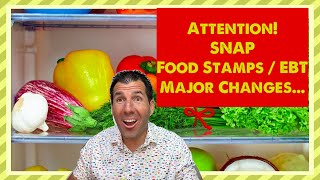 Warning SNAP  Food Stamps  EBT  Surprising for the Low Income [upl. by Jarv271]