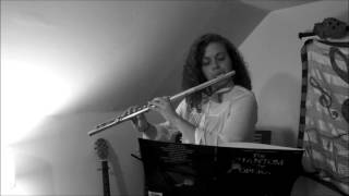 Wishing You Were Somehow Here Again flute cover [upl. by Roban]