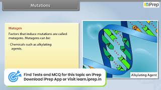 Mutations  Principles of Inheritance and Variation  Biology  Class 12th iPrep [upl. by Vincenty]