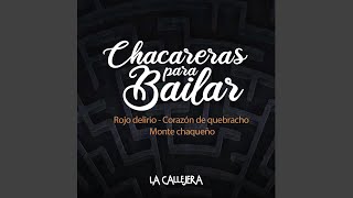 Chacareras para Bailar Rojo Delirio  Corazón de Quebracho Monte Chaqueño En Vivo [upl. by Merete314]