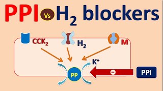 Proton pump inhibitors PPI vs H2 blockers [upl. by Atinreb876]