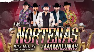 Las Norteñas Más Mamalonas del 2021  By Dj Alfred  EXITOS 2021  La Fiera Rienda Real La Fe [upl. by Anaitsirhc]