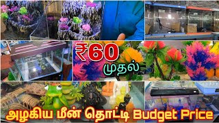 ₹60 முதல்  Fish Tank Setup  Imported amp Cheapest Fish Tank Accessories  Erode Jayanthis Kitchen [upl. by Meerak]