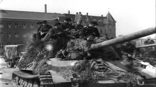 German soldiers of 512th Heavy Tank Destroyer Battalion surrender piling up armsHD Stock Footage [upl. by Eelatsyrc]