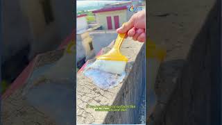 Clear Waterproofing Adhesive waterproofcoating waterproofing [upl. by Ylus375]