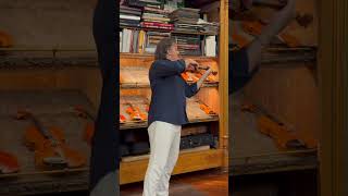 David Frühwirth Plays a Mina Mazzolari Violin [upl. by Calida]