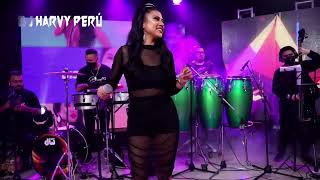 DEMO PACK SALSA TIMBA Brunella Torpoco y Orquesta  Dj Harvy Peru 22 [upl. by Elsa]