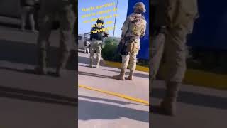 Operativo para capturar a un alto mando del cartel defensanacional culiacan sinaloa guerra [upl. by Attenod]