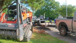 Forestry Mulcher vs 60ft Pine Trees [upl. by Avika]