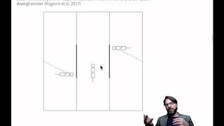 09 CategorischeDataAnalyse9 3 1a GepaardeGegevens Intro BI [upl. by Rizzo]