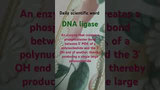 DNA ligase biology enzymes enzyme biochemistry biotechnology genetics shorts trending viral [upl. by Arrek]