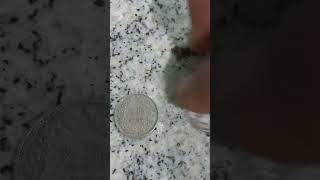 2 moedas antigas 1 one Dime e fr 1969 [upl. by Amalbergas380]