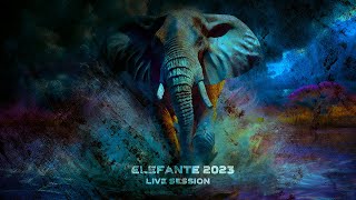 ELEFANTE 2023 Live Session Show completo [upl. by Ainahpets]