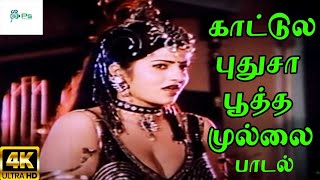 Kattula Pudhusa காட்டுல புதுசா பூத்த  Vani Jairam Love H D Song [upl. by Ylatan]