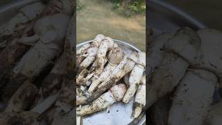 Mushroom 🍄 ঘরের ভিটেতে মাশরুম ফুটেছেshortvideo [upl. by Stila]