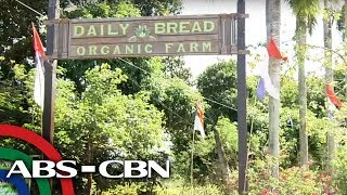 Bandila Ilang farm tourism site sa Bulacan patok na pasyalan [upl. by Pachton]