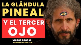 El Tercer Ojo El Poder de la Glándula Pineal ¡Peligros y Abertura [upl. by Coralyn]