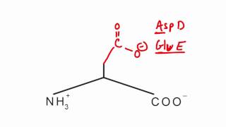 Memorize the 20 amino acids in 20 minutes Part 2 [upl. by Meagher]