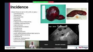 Zomedica sponsored webinar l Hemoperitoneum l Spleen l VetGuardian l July 17 2024 [upl. by Okorih]