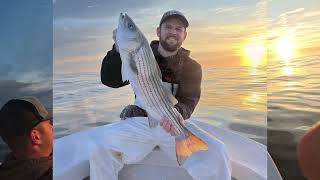 RecordBreaking Bluefish amp Striped Bass Limit fishing fishinglife FishingTrip catchoftheday [upl. by Nirtiak]