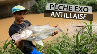 Ce JEUNE PÊCHEUR martiniquais me montre ses SPOTS à SNOOK [upl. by Eserehc]