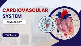 Physiology L6 C2 Cardiac arrhythmia [upl. by Yanaj765]