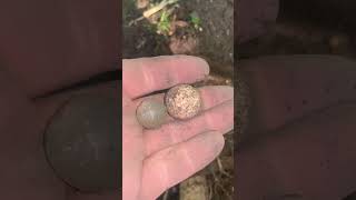 clay marble amp codd marbles found bottle digging Glasgow Scotland [upl. by Lagas]