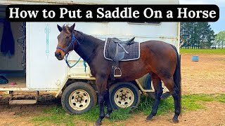 How to Put a Saddle on a Horse  How to Saddle a Horse  Horse Riding Tips [upl. by Baptista]