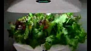 AeroGarden Salad Explosion [upl. by Aztinad]