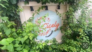 Cicely restaurant in Vijayawada [upl. by Clarabelle]