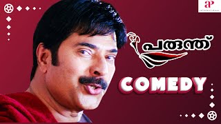 Parunthu Malayalam Movie  Full Movie Comedy  Mammootty  Jayasurya  Cochin Haneefa  Mamukkoya [upl. by Myrwyn]