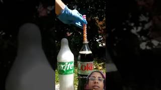 Mentos and CocaCola🥫 relationship cocacola experiment knowledge fact shortsfeed yt shorts [upl. by Anirrok]