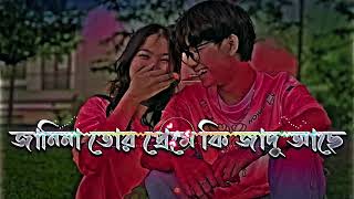 জনন তর পরম ক জদ আছ Janina tor preme ki jadu ache New bangla Lofi song 2024 lofi [upl. by Maccarone]