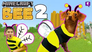 Minecraft HobbyBee 2 Takes HobbyFlappy [upl. by Simonette255]